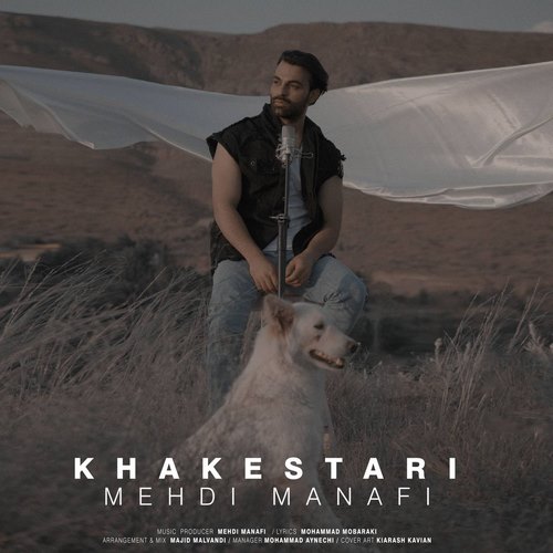 مهدی منافی خاکستری