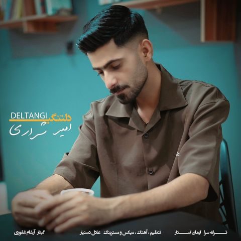 امیر شراری دلتنگی