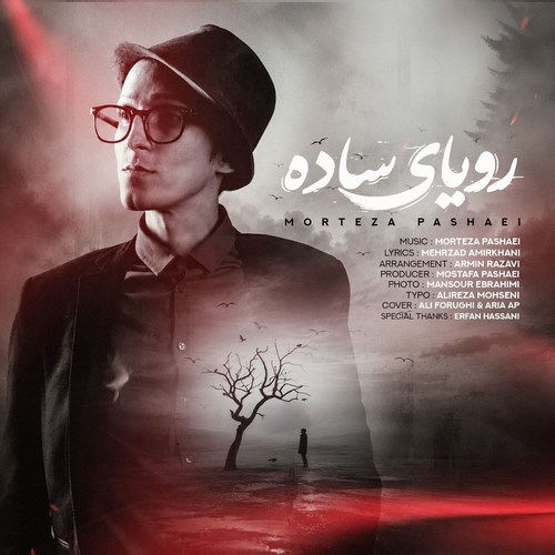 مرتضی پاشایی رویای ساده
