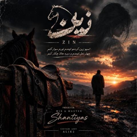 سینا پارسیان زین (دلی)